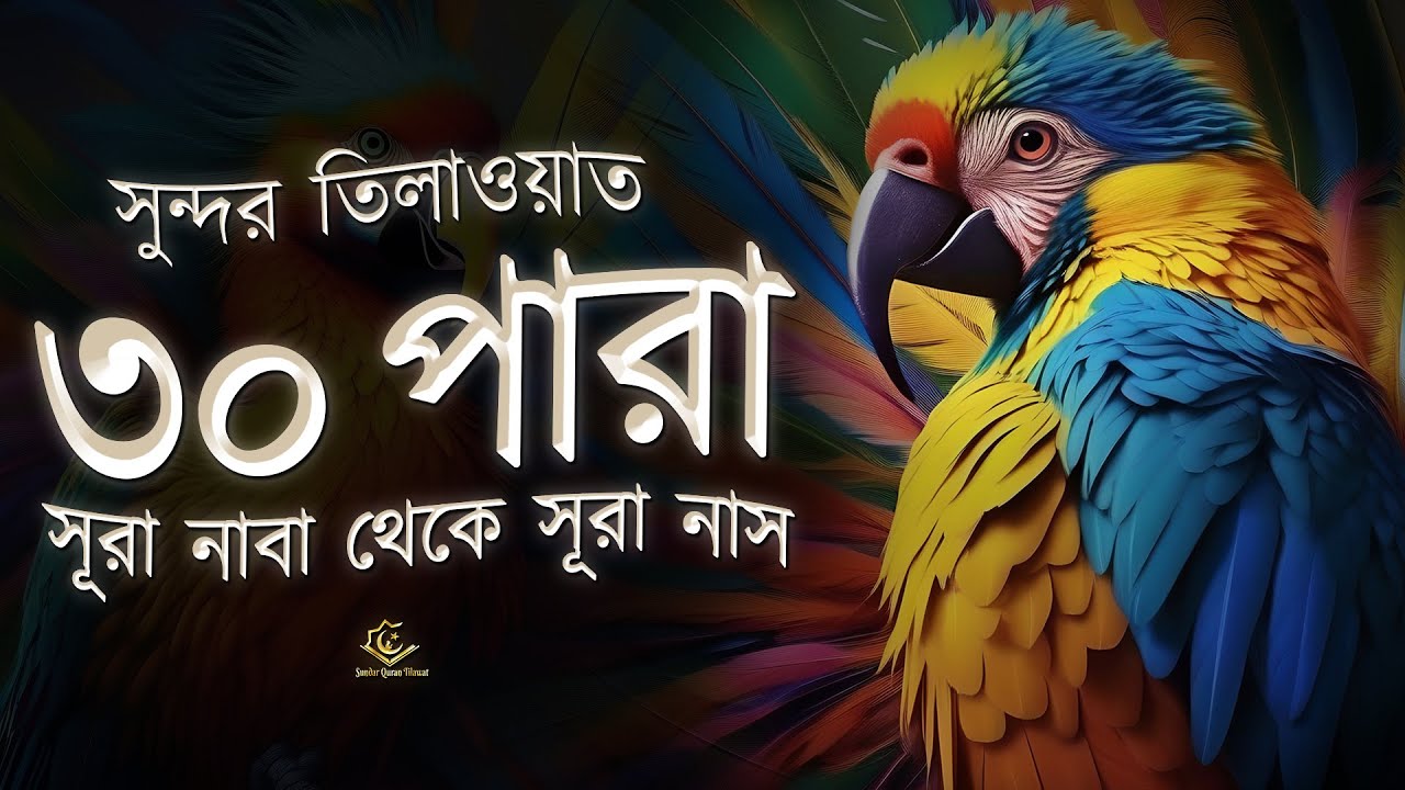 Juz 30 (Juz Amma) Full | সুন্দর কণ্ঠে সূরা নাবা থেকে সূরা নাস তিলাওয়াত । Beautiful Quran Recitation