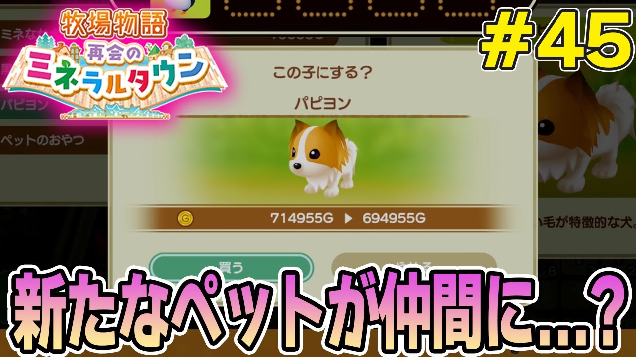 【初見】効率厨が挑む新たな牧場主生活で実況プレイ！#45【牧場物語 再会のミネラルタウン】【ぽんすけ】
