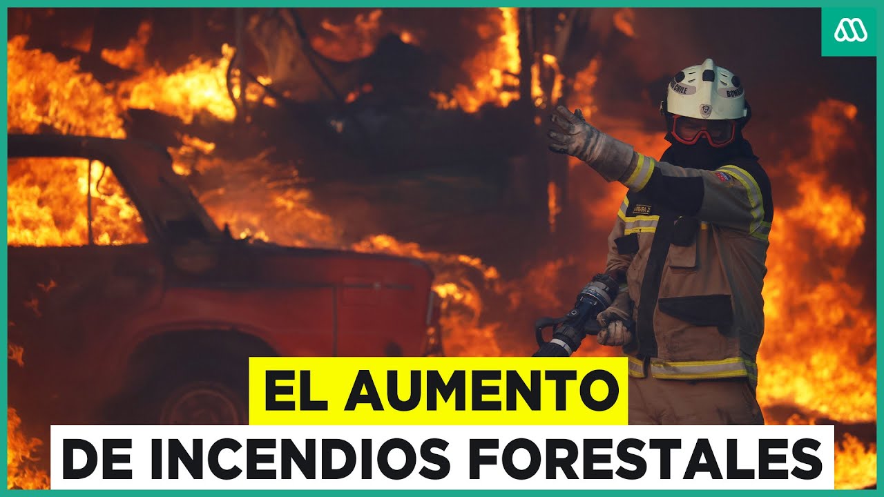 El aumento de los incendios forestales: 99% son provocados por la acción humana