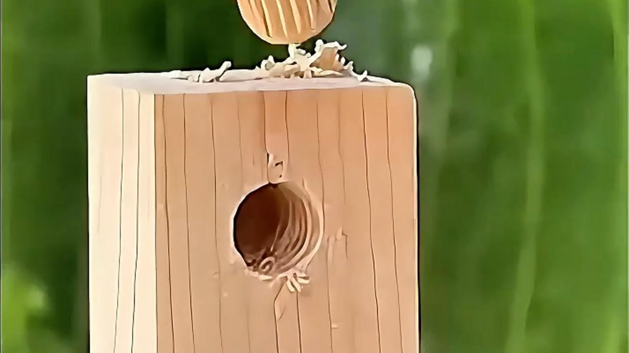 Tips and tricks to improve learning efficiency and speed that you should know 