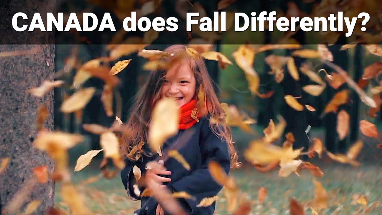 7 FUNNY Canadian Fall Traditions