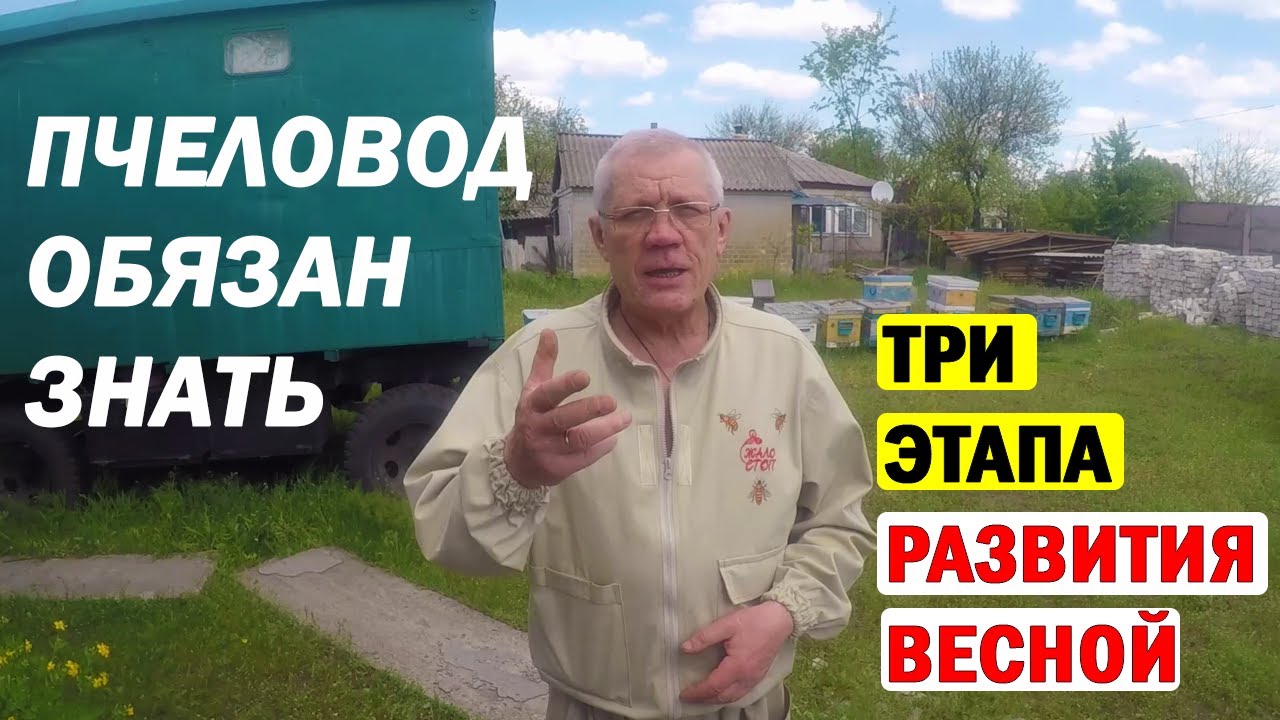Этапы весеннего развития пчелиной семьи. Выход пасеки с зимы после потравы.