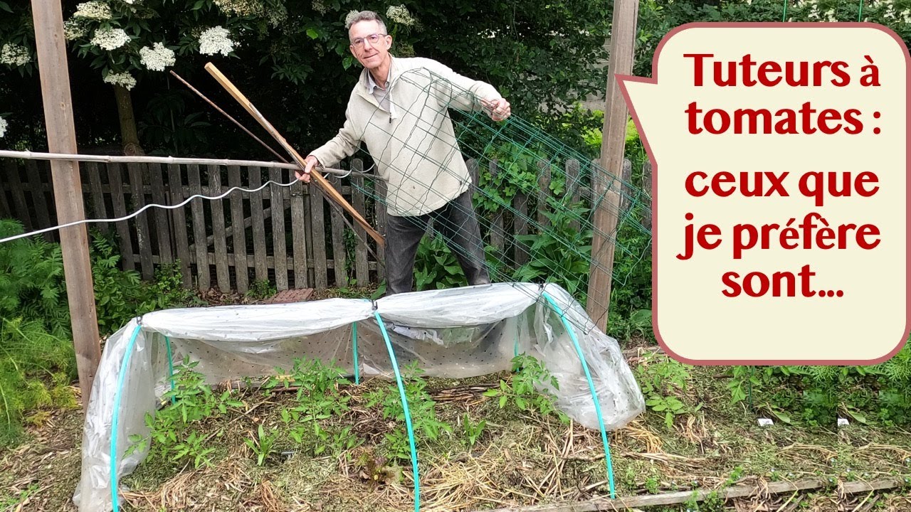 Avantages et inconvénients des 3 types de tuteurs pour les tomates
