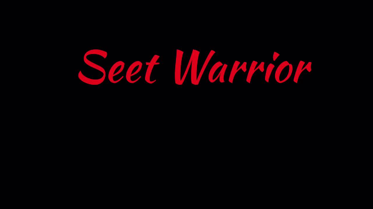 Die Antwoord (remix)