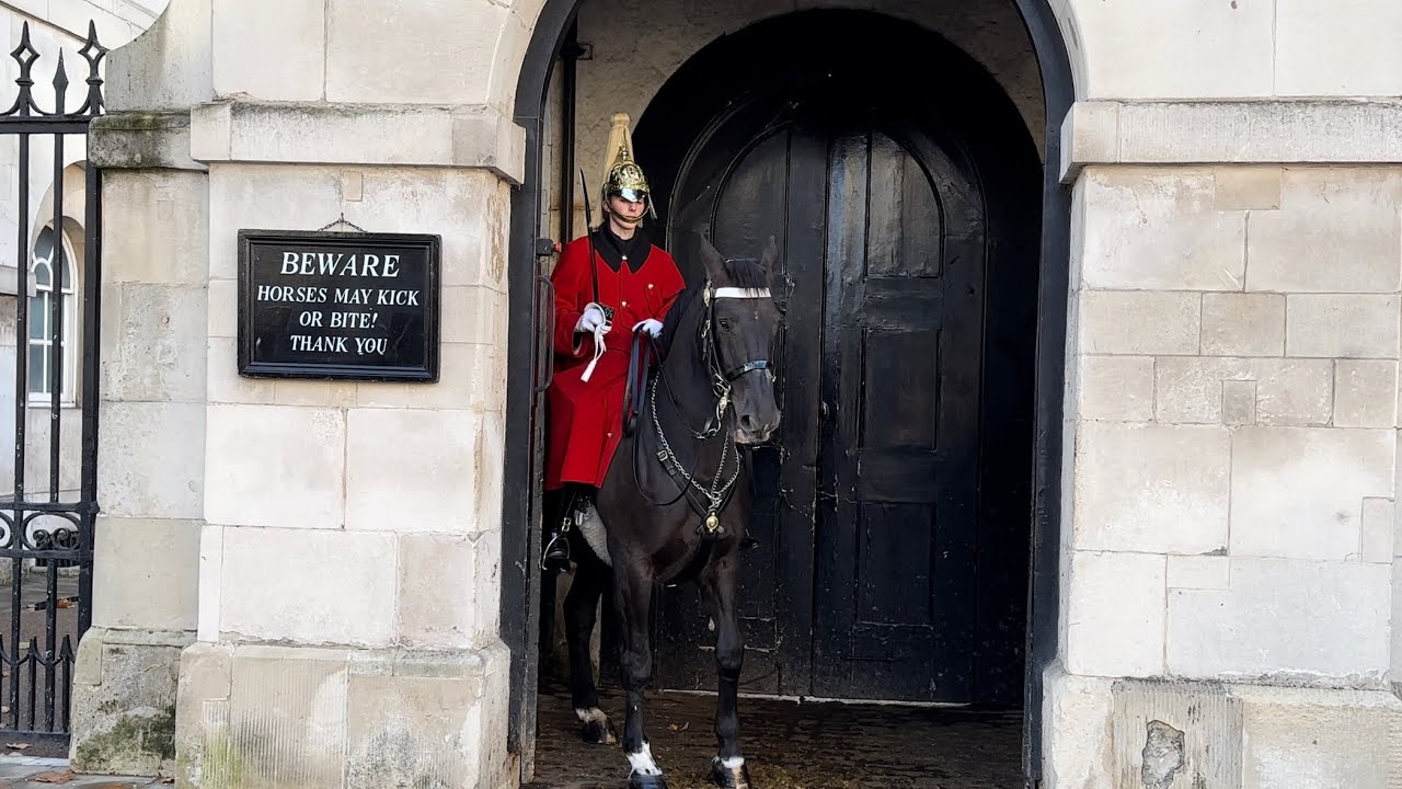 Guard&rsquo;s Horse Wants To Stay In The Box Today