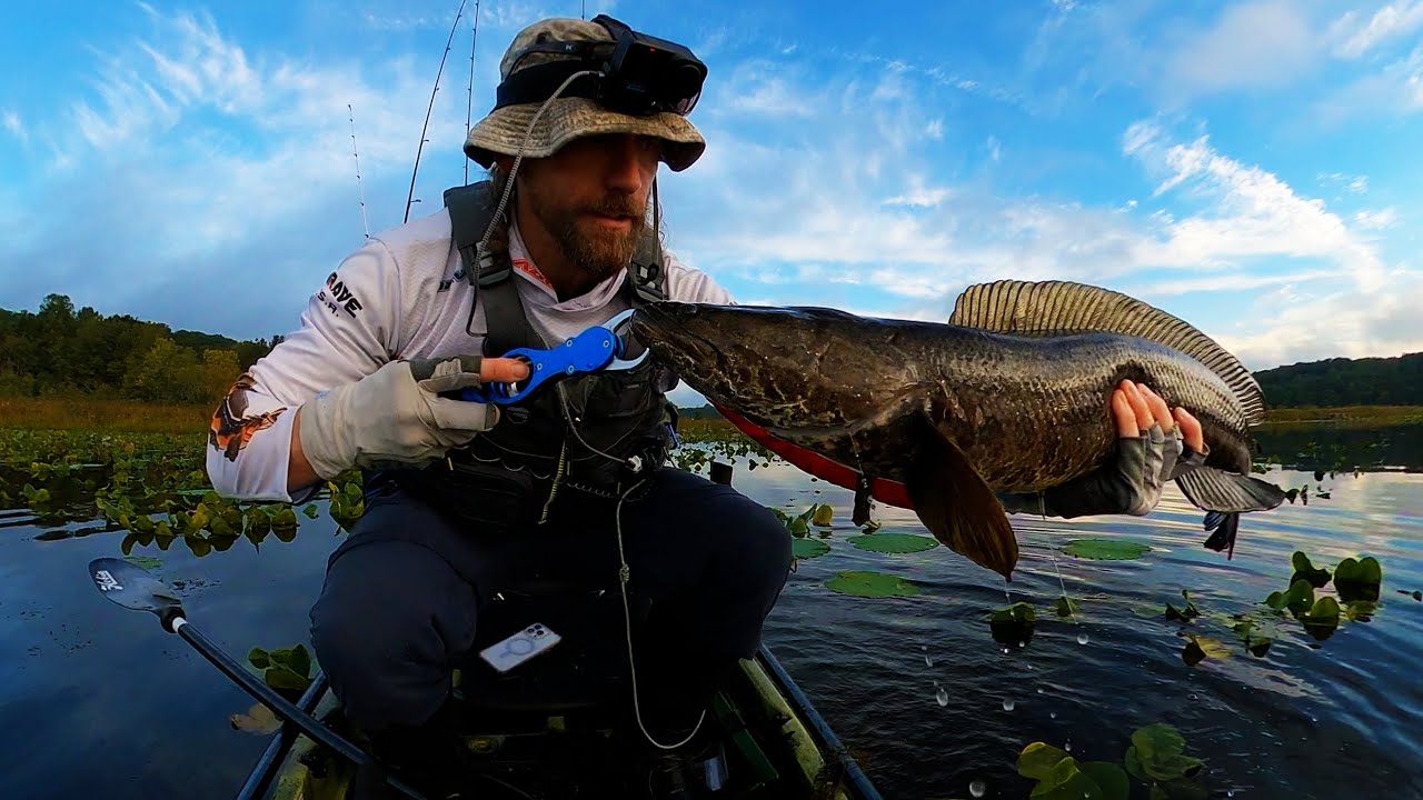 Topwater DRAGONS & Kayak Snakehead Tournament WIN! Fishing Pad Fields & Adapting to TOUGH Conditions