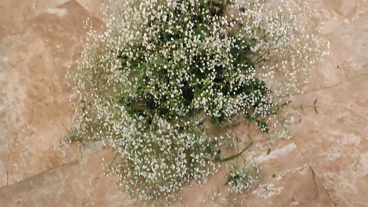 Flower decoration on Hyaat |  this time my bucket listed flower gyspey was there on this decor work.