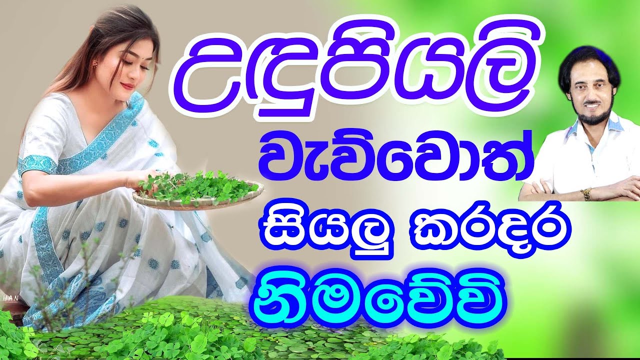 සොබා දහමේ ශක්තිය.. ඔබේ සුවයට...