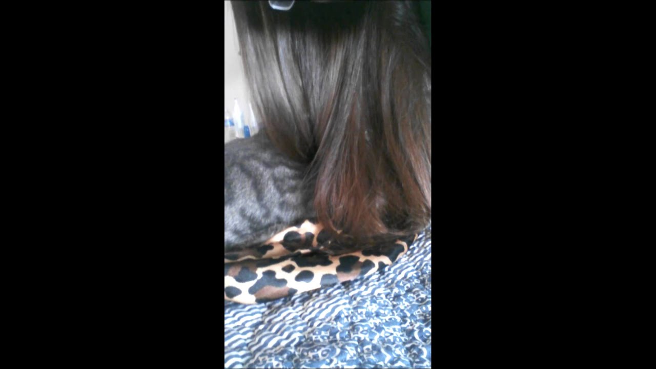 Cat Plays With My Hair