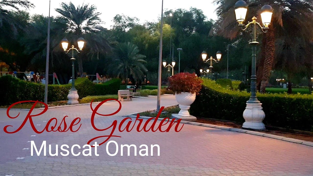 OMAN  ROSE GARDEN 🌹