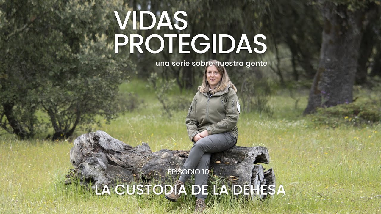 LA CUSTODIA DE LA DEHESA. Episodio 10