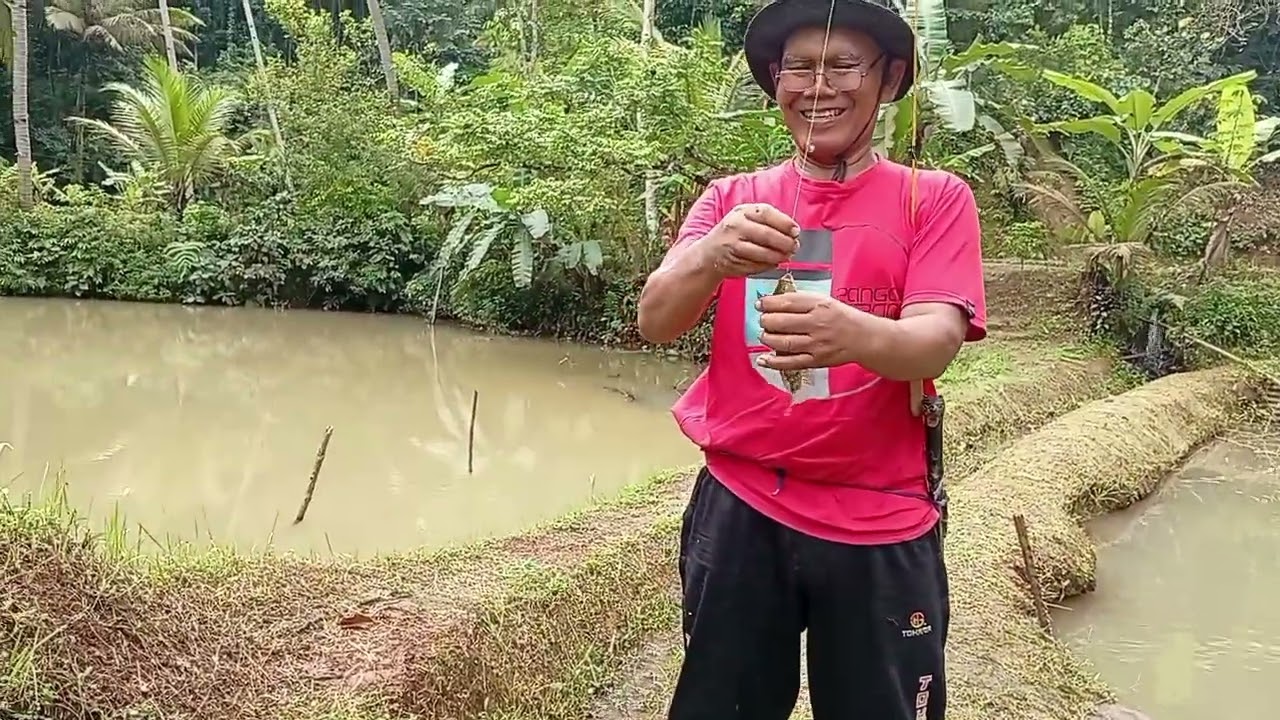 Mancing di kolam, lnjt masak semur ikan mujaer(kehidupan di pedesaan) @