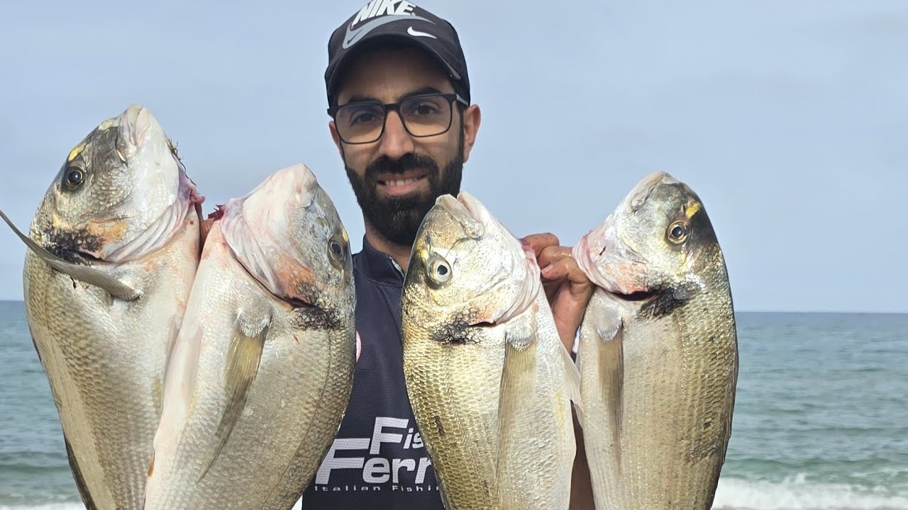 صيد أسماك الدوراد العملاقة xxl