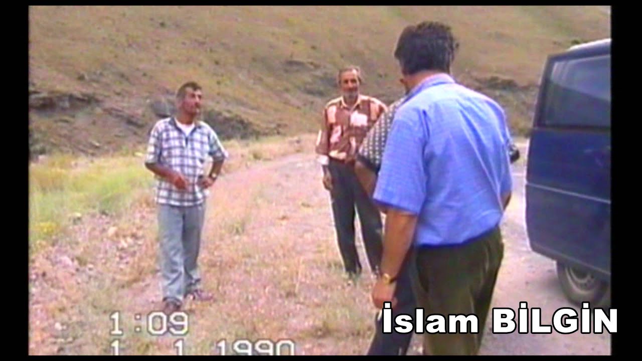 Çayeli Karaağaç(Raşot) Dökülen Yapraklar