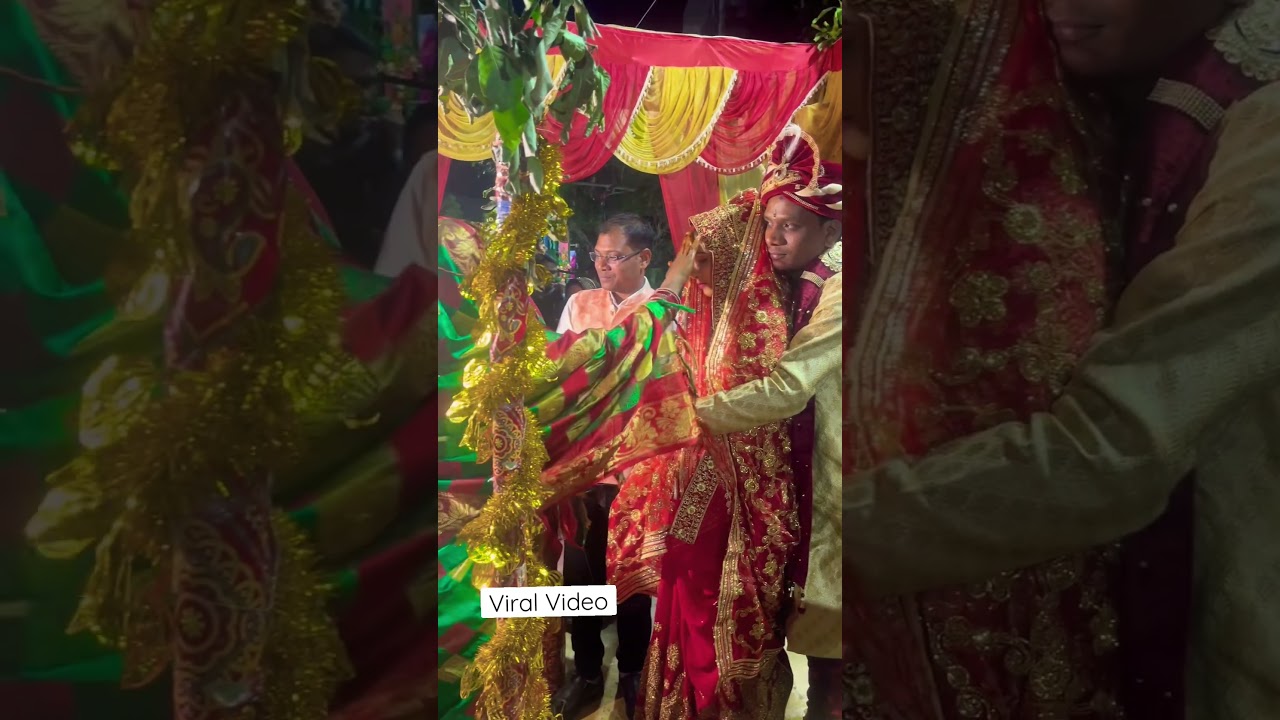 Maur Saupani|Chhattisgarhi wedding video |Cg Shading song#viral #shorts #wedding #cgshorts #trending