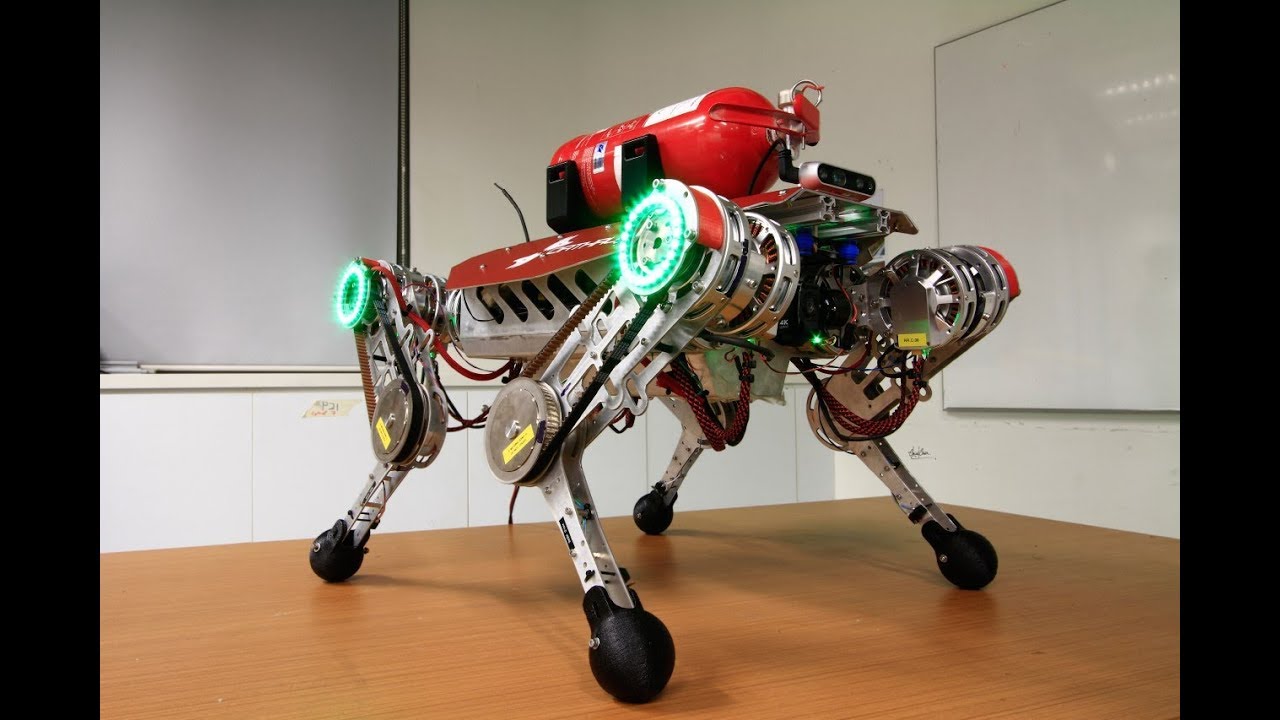 Undergraduate Final Year Project Legged Robot