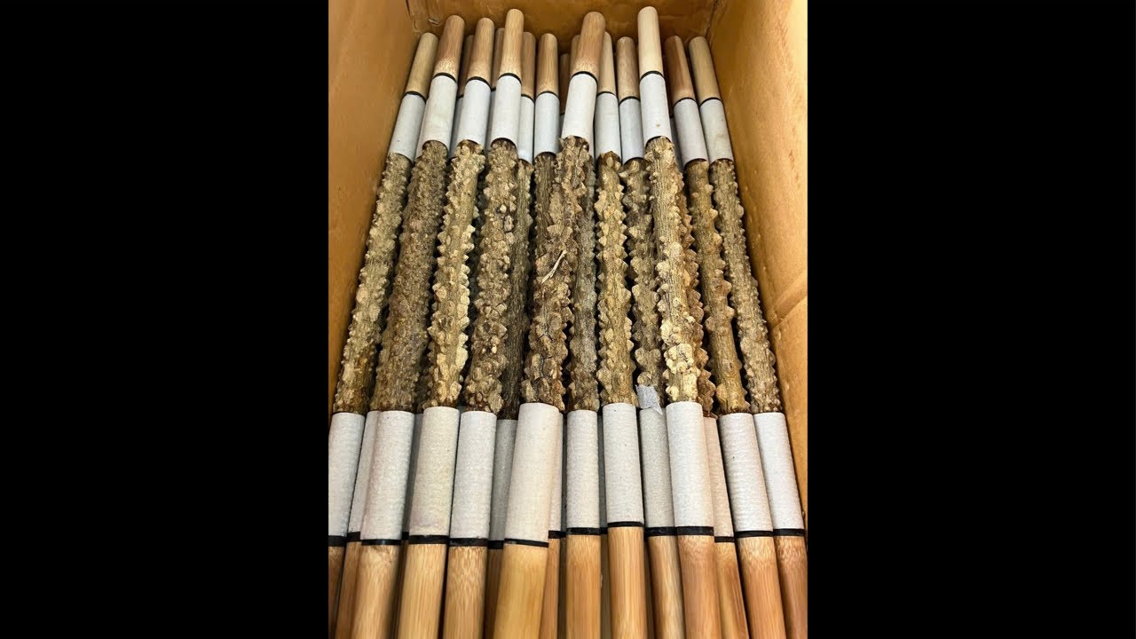 Lồng Chim họa mi xịn