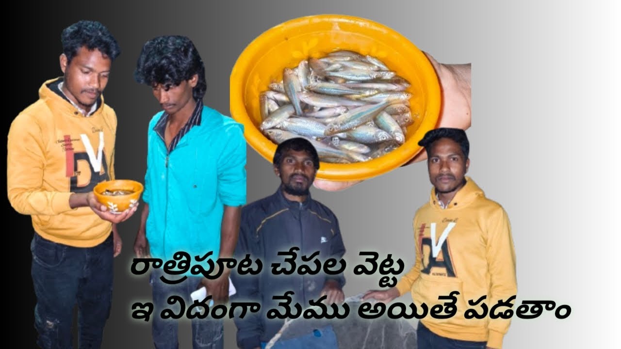రాత్రి పూట చేపలను మేముఈవిడఁగ పడతము