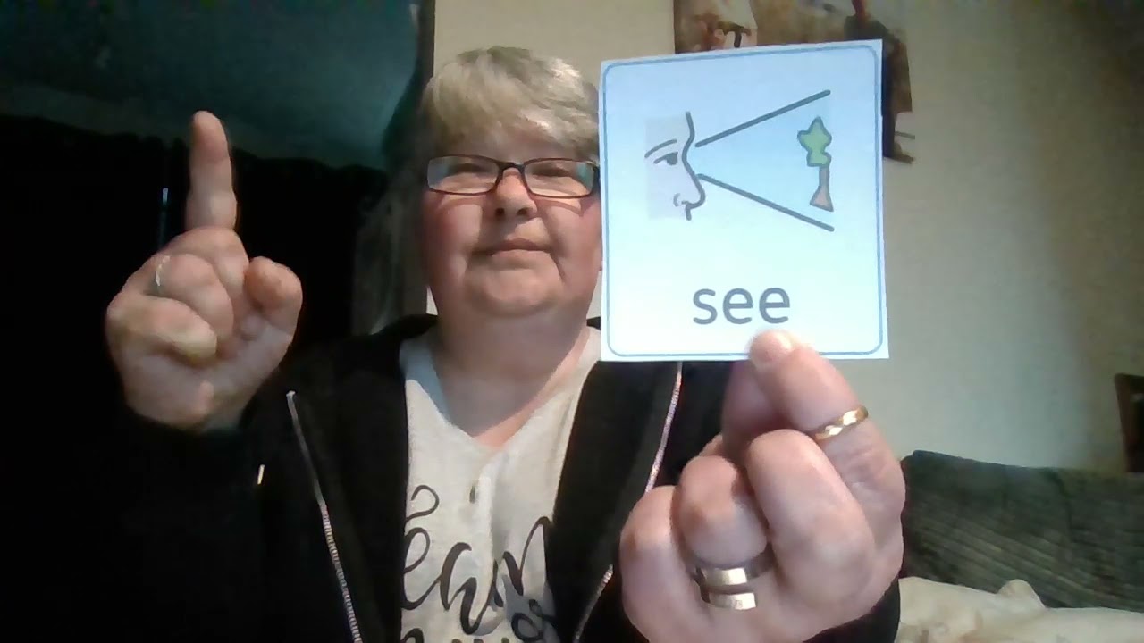 Learn the Makaton Signs: Everyday Words - look, see, want and remember