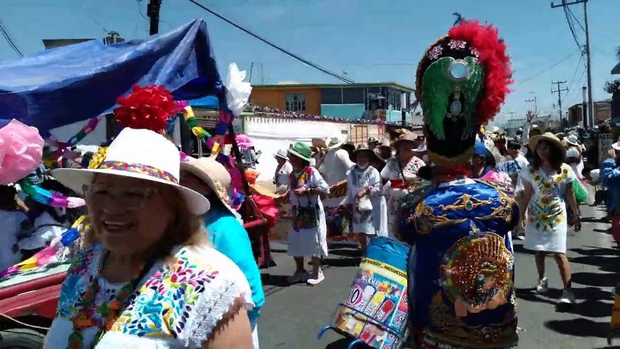 Desfile de carnaval Nativitas tlaxcala 2025 .Part 1