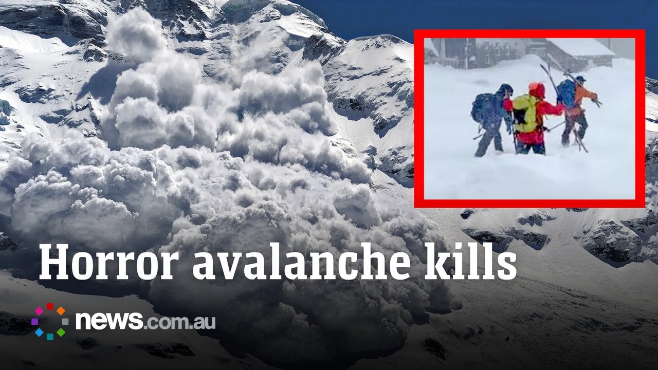 Eight skiers found dead after horror avalanche