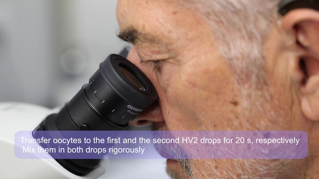 OPS (Open Pulled Straw) vitrification - from VitaVitro