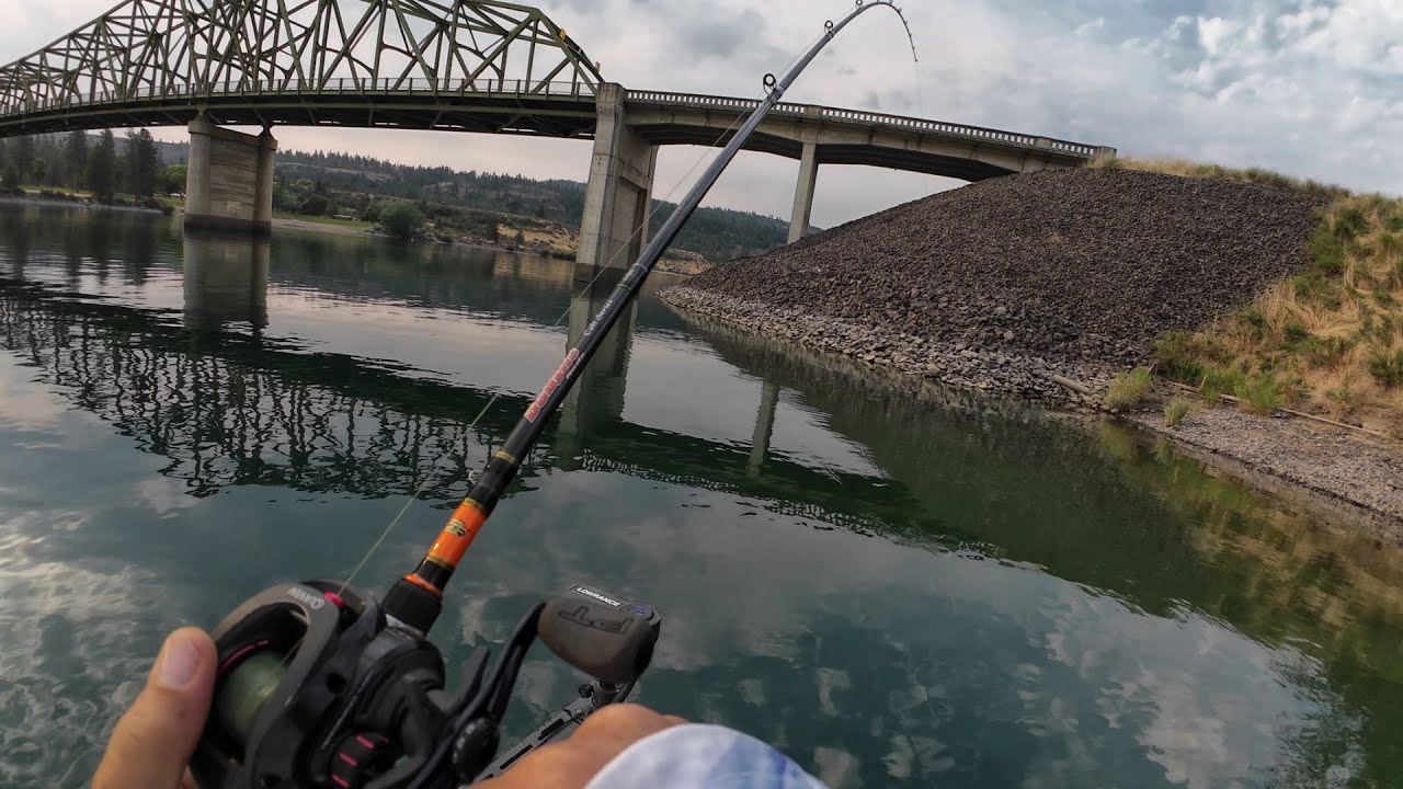 Lake Roosevelt WA Confluence - Cool Overcast day produces lots of fish, No Bigs or frog fish 🚫🐸