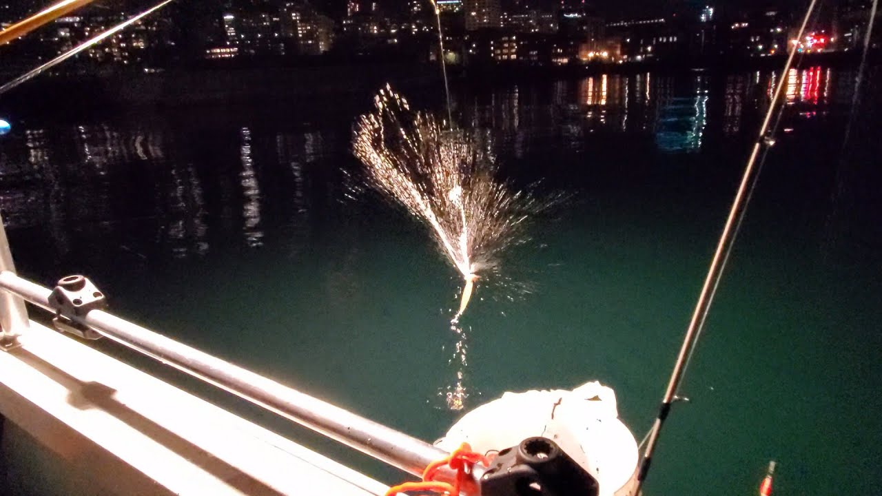 Catching Squids from a Boat | Puget Sound Squid Fishing | Squid Jigging At Night