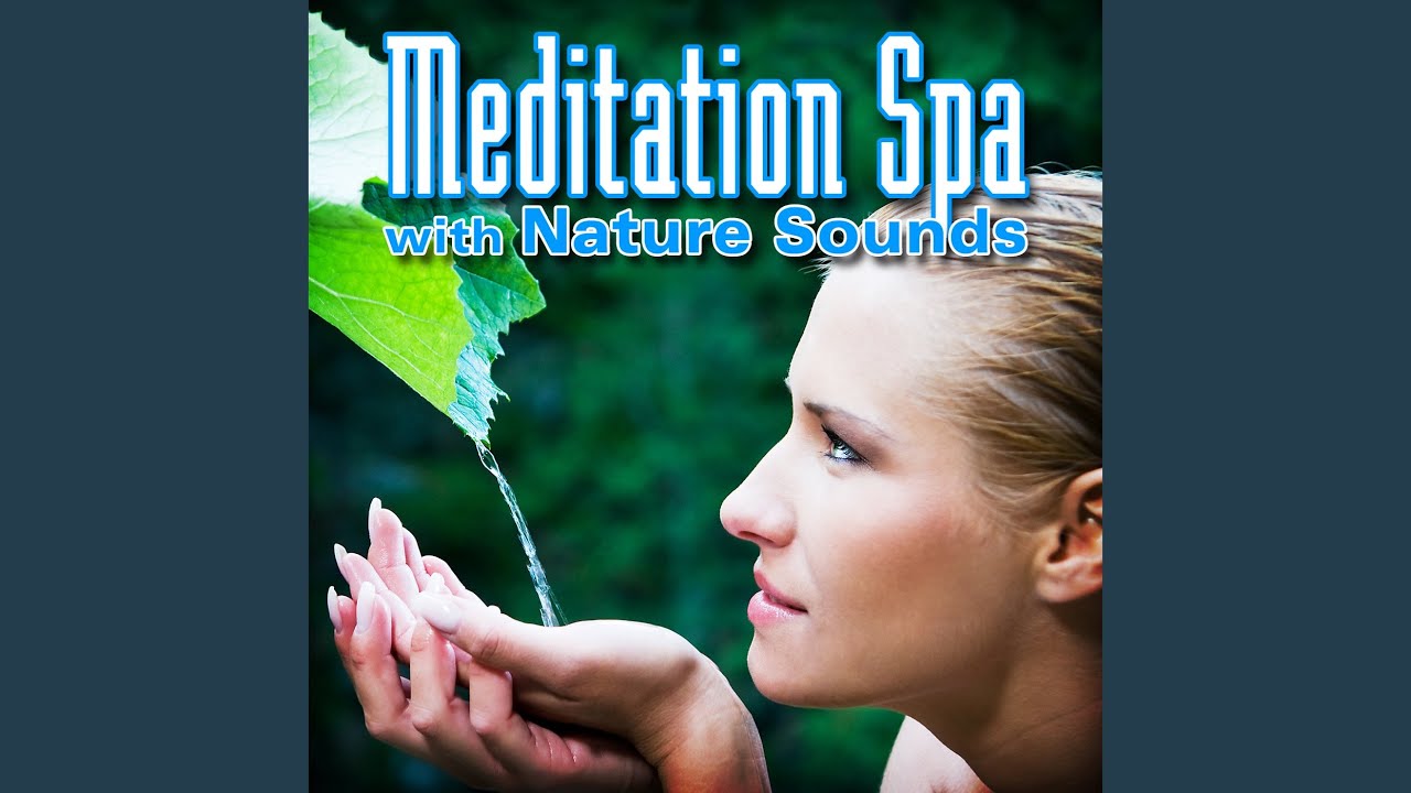 Deeper Meaning with Quiet Call of Birds for Inner Health and Tranquility