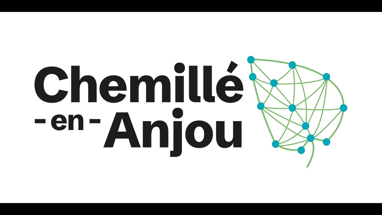 Conseil municipal de Chemillé-en-Anjou - 26/02/2026