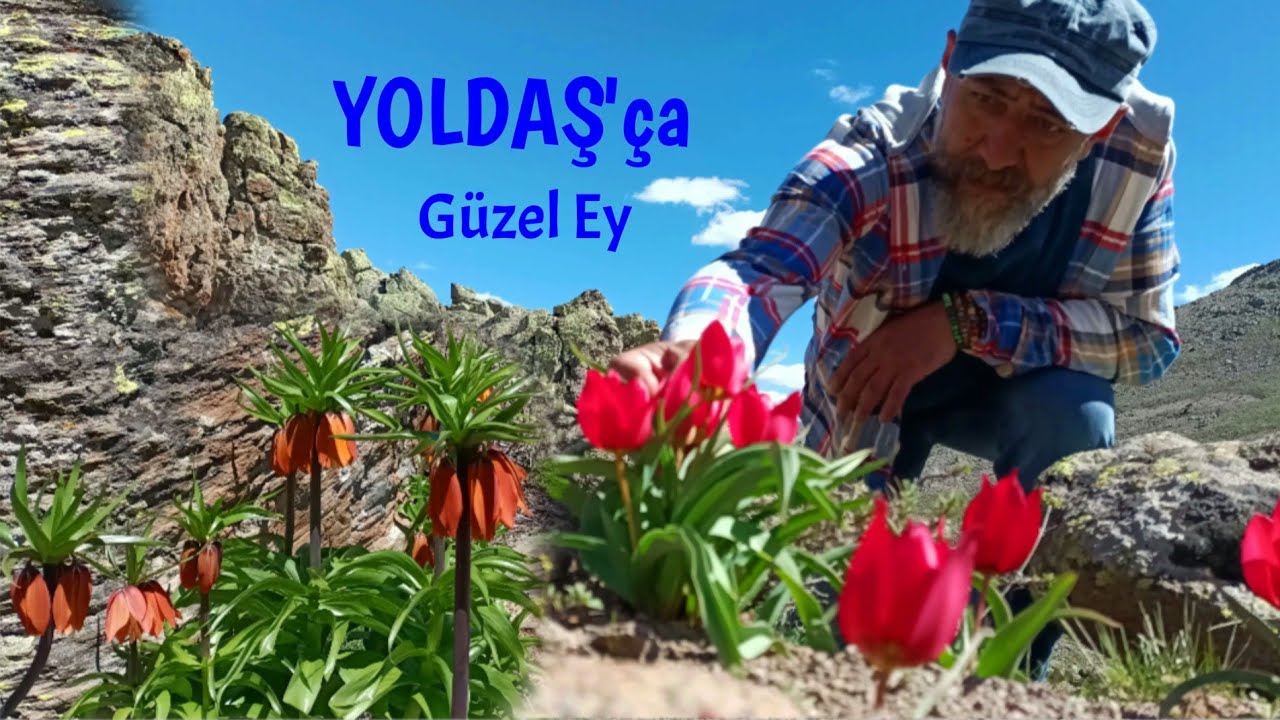 YOLDAŞ'ça Türküler/Güzel Ey #malatya #hekimhan #başkınıkköyü #türkü #kılam #kültür #gelenek