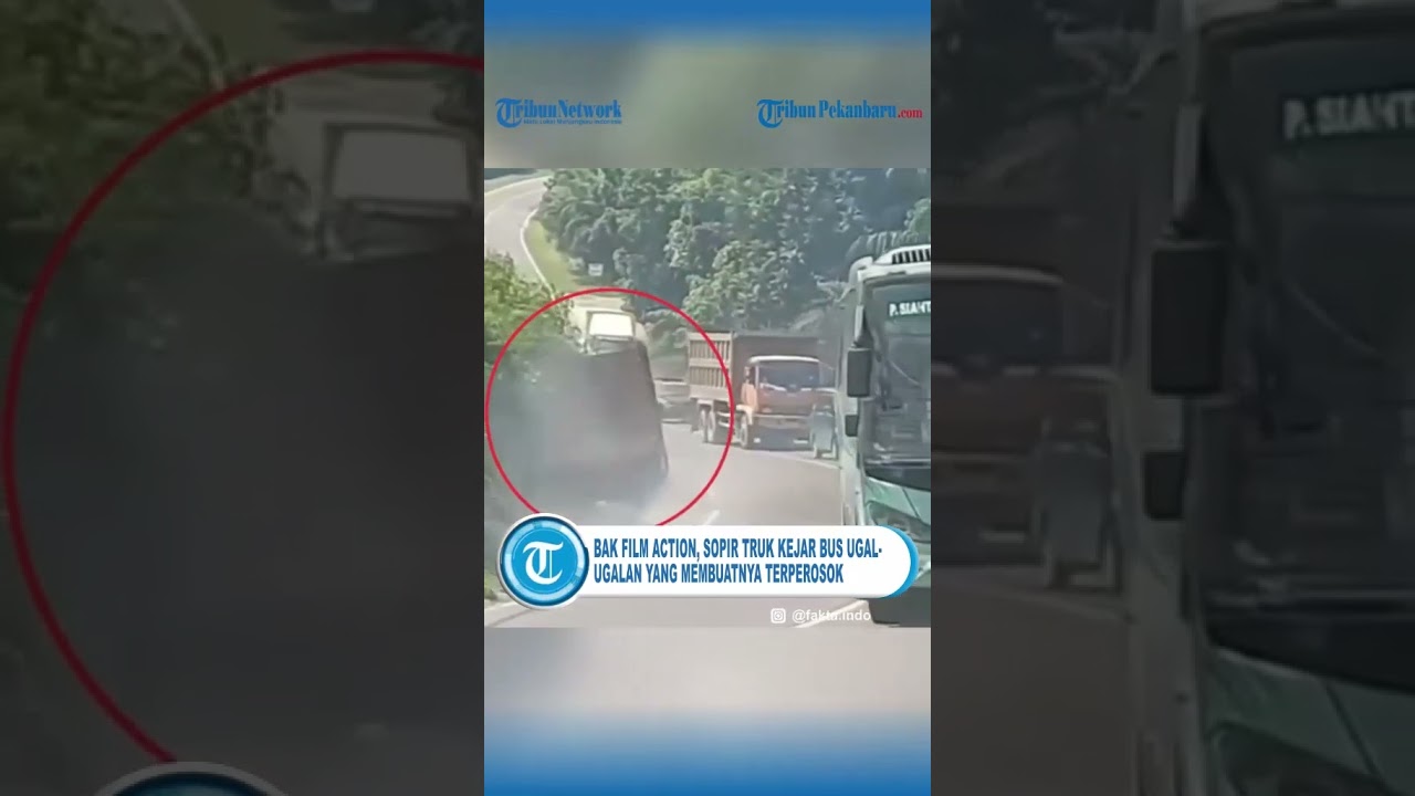 Viral Sopir Truk Kejar Bus Ugal ugalan yang Telah Membuatnya Terperosok
