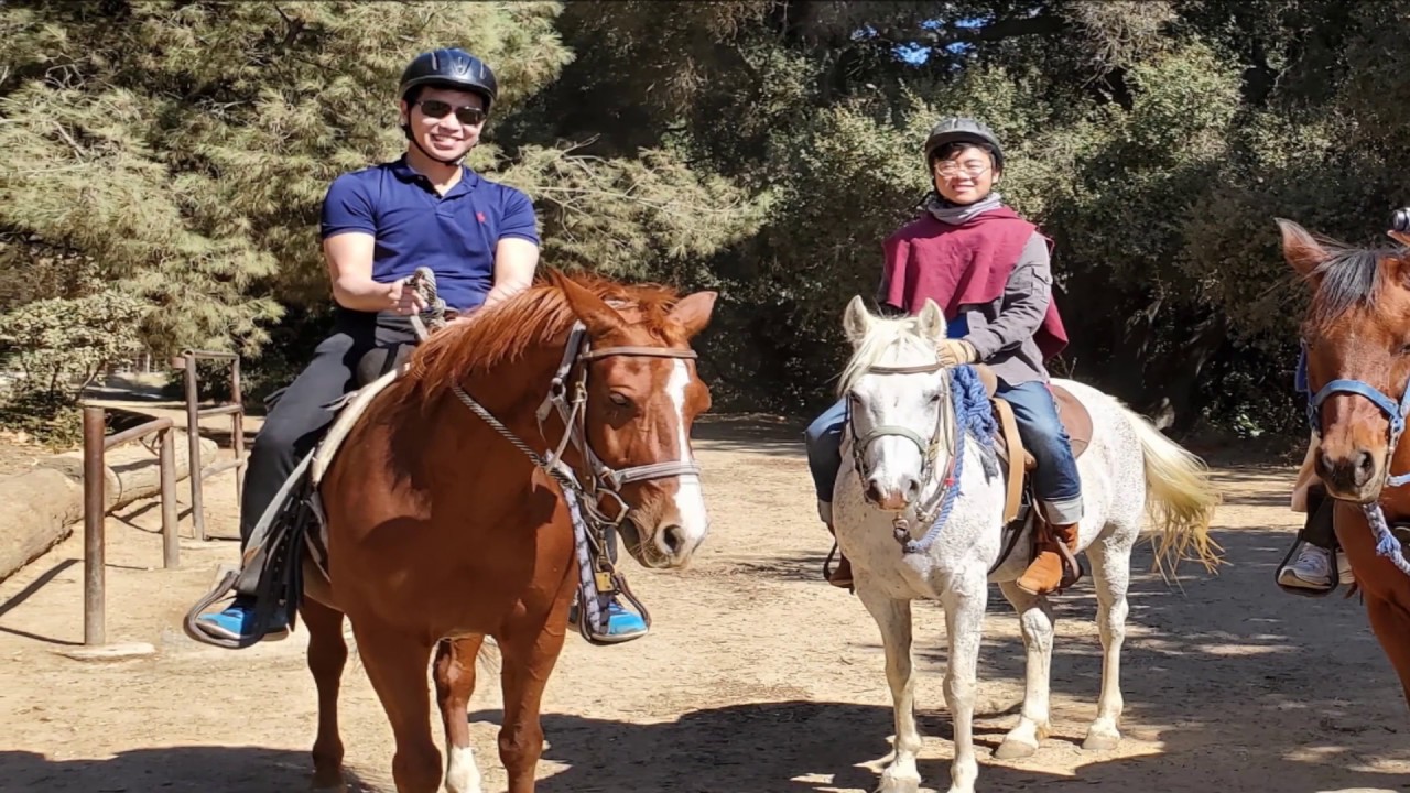 Horseback riding on a beautiful trail