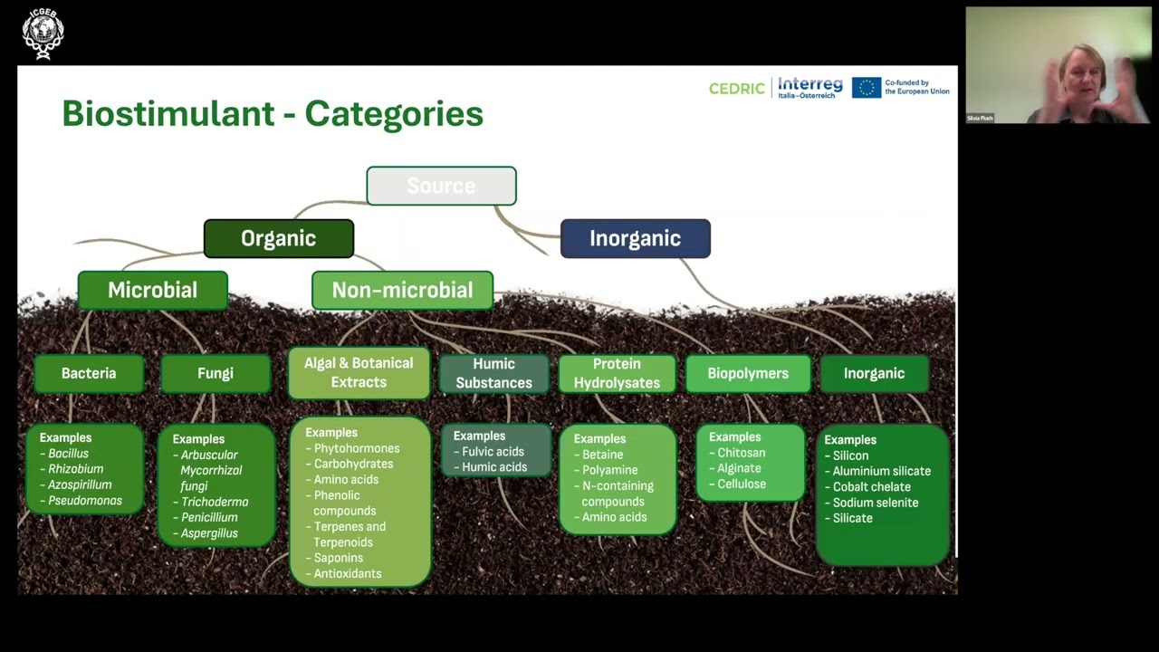 S. Fluch - Biostimulants - how do they work?