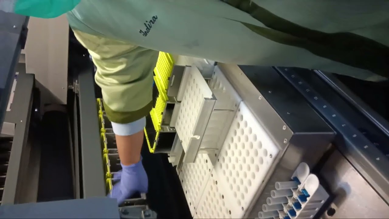 master mix pcr
