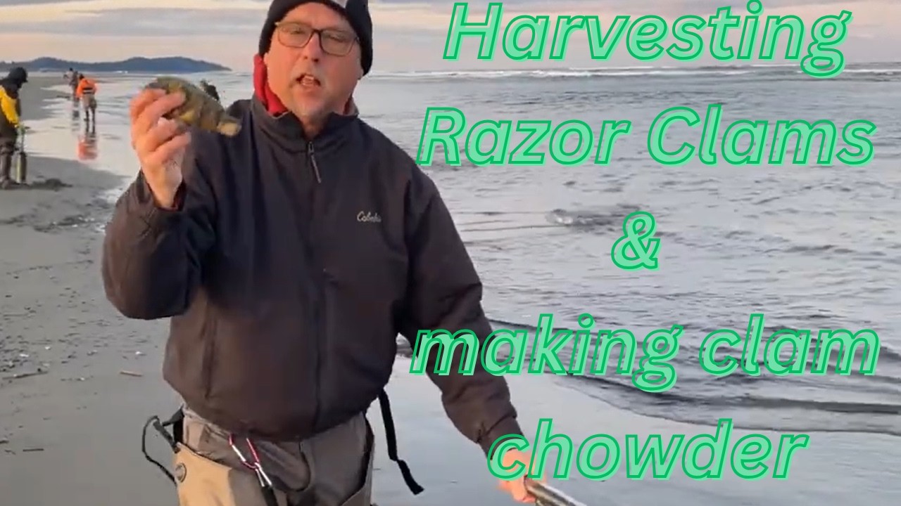 How to Razor clam in Long Beach, Washington