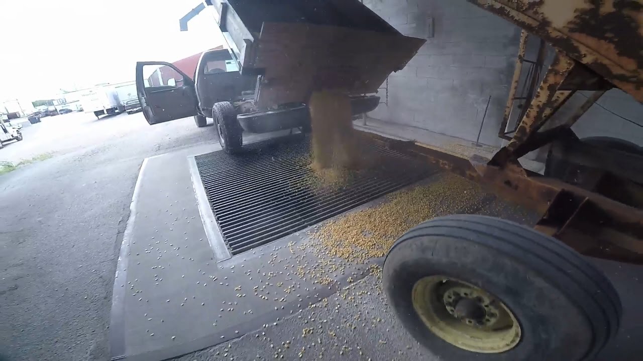 Hauling Corn to the Elevator