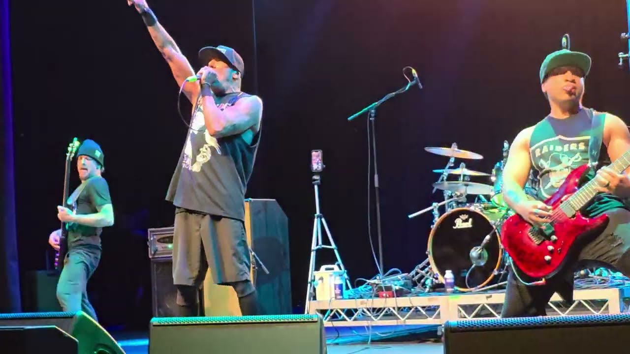 Hed (pe) Swan Dive Live Australia 2026