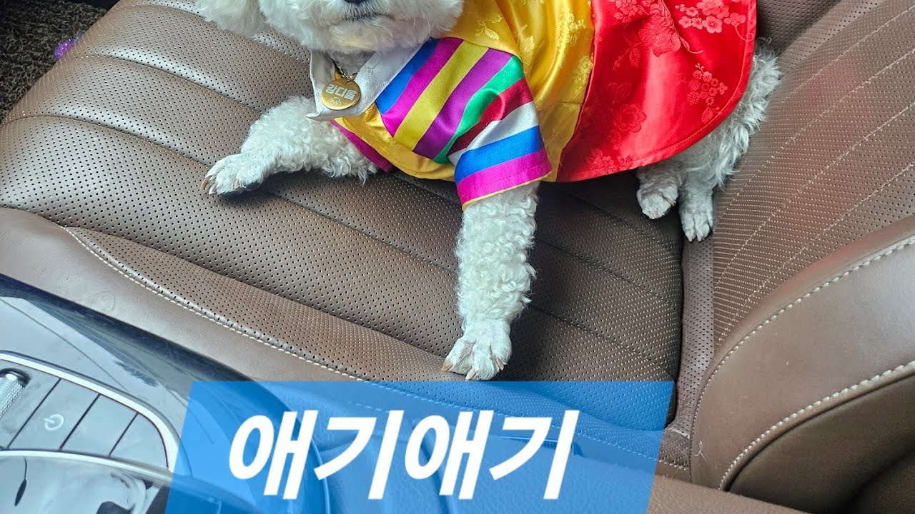 산책하기좋은날