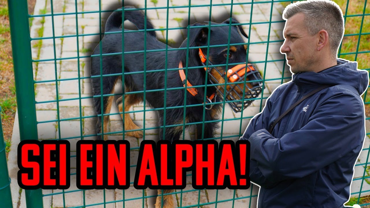 ÜBERNIMM FÜHRUNG!