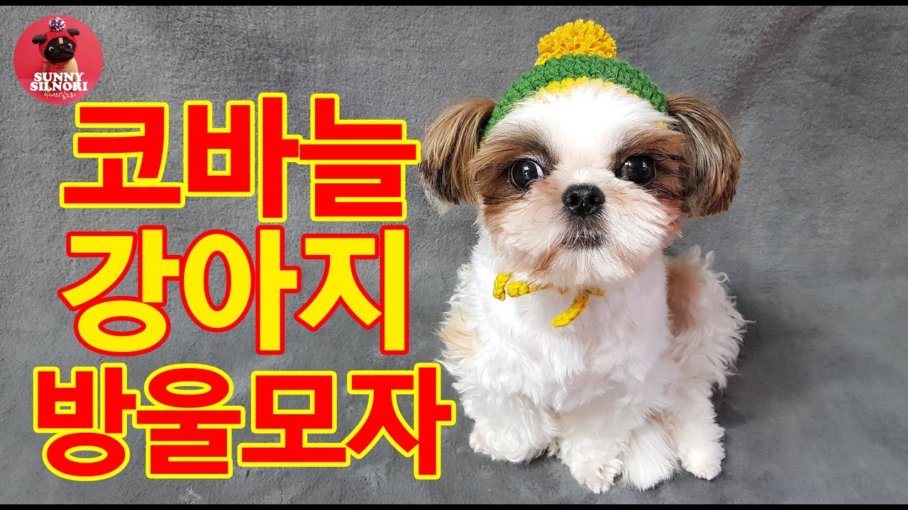 [써니의실노리]코바늘 강아지  뜨개모자ㅣHow to Crochet a Dog Hat