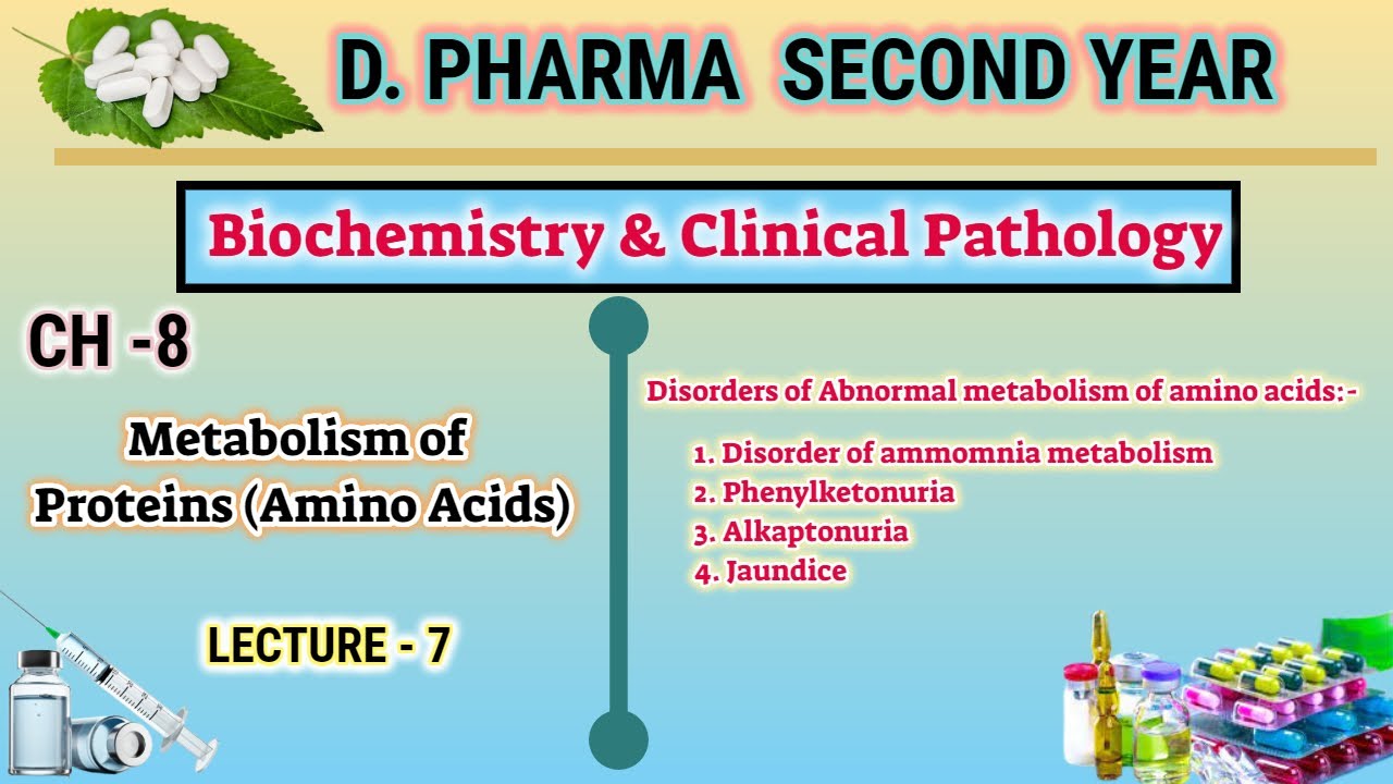 Abnormal metabolism of Amino acids | Disorder of ammonia| Biochemistry | Ch-8 | D.Pharm second year