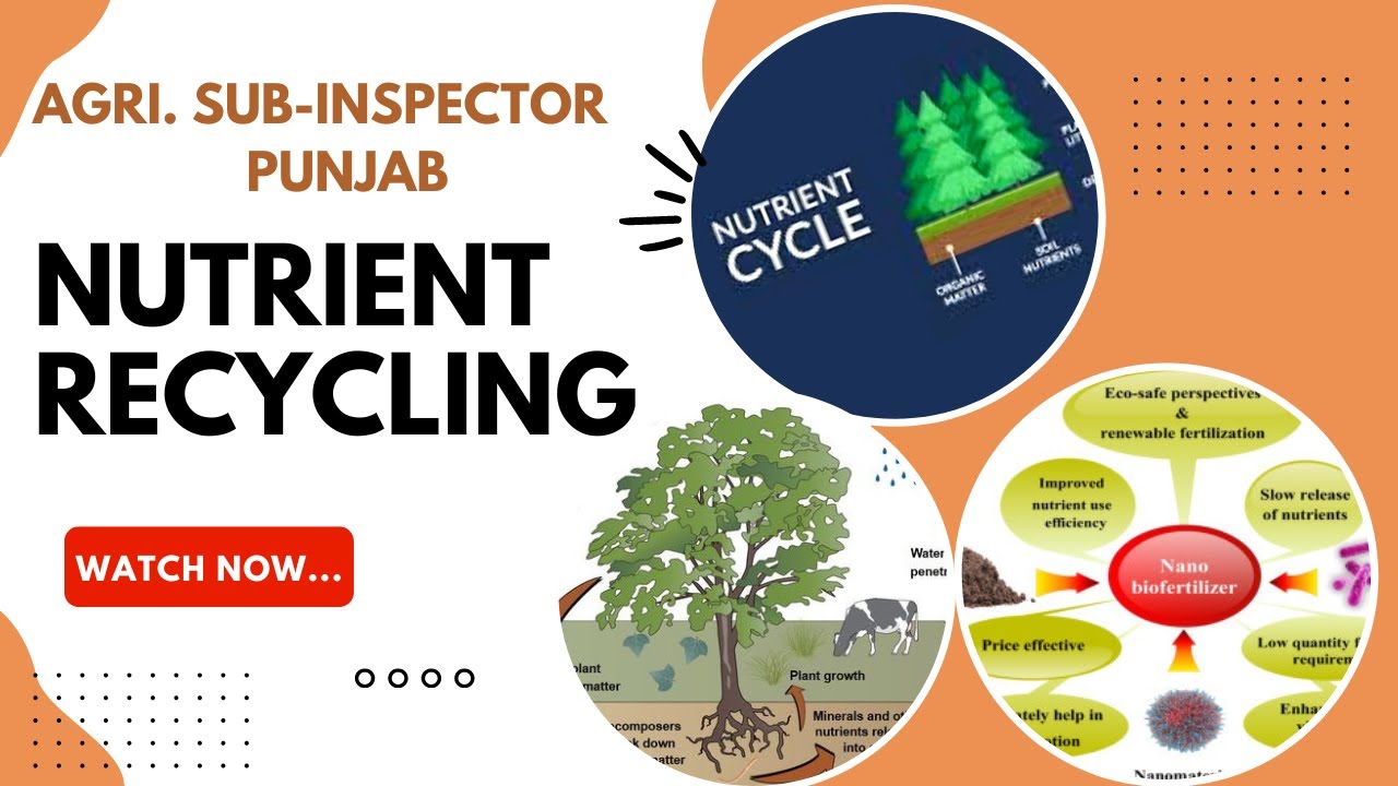 Nutrient Recycling| most interesting topic | Agriculture Sub-Inspector Punjab| Punjab ADO