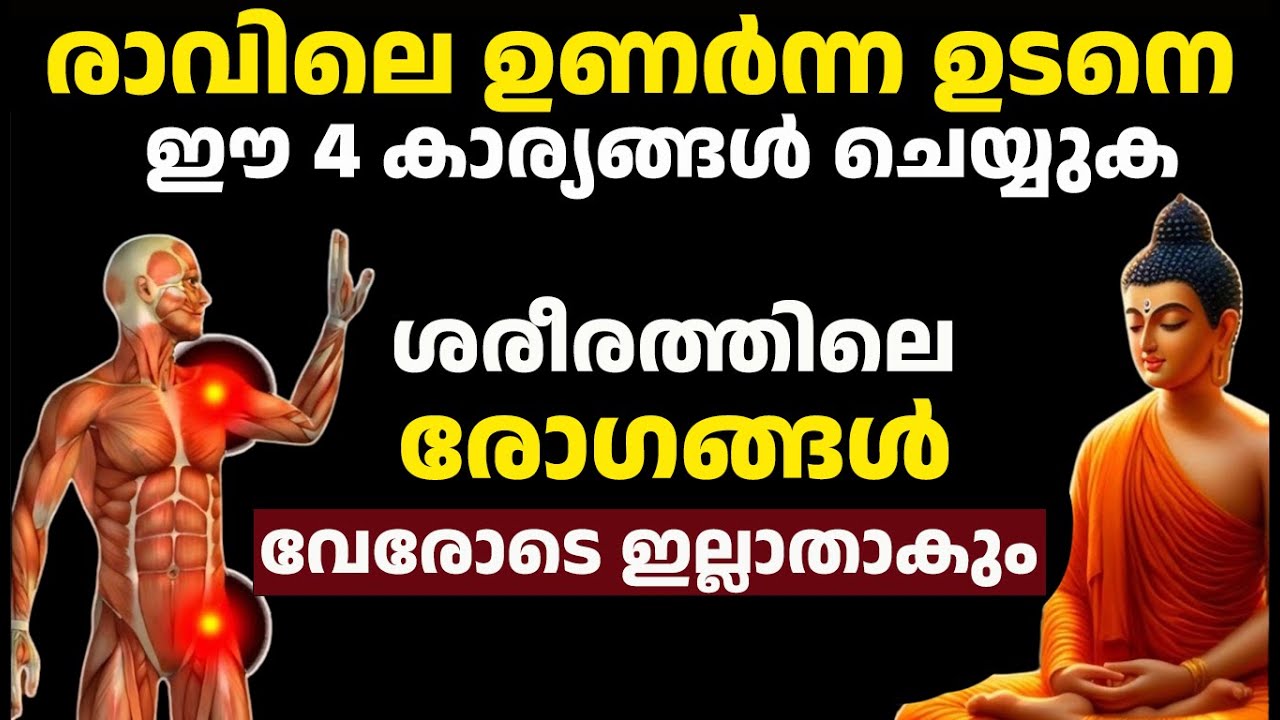 90% രോഗങ്ങൾക്കും പരിഹാരം | ചെറുപ്പം നിലനിർത്തുന്ന ആയുർവേദ രഹസ്യം. Buddha Story Malayalam Health Tips