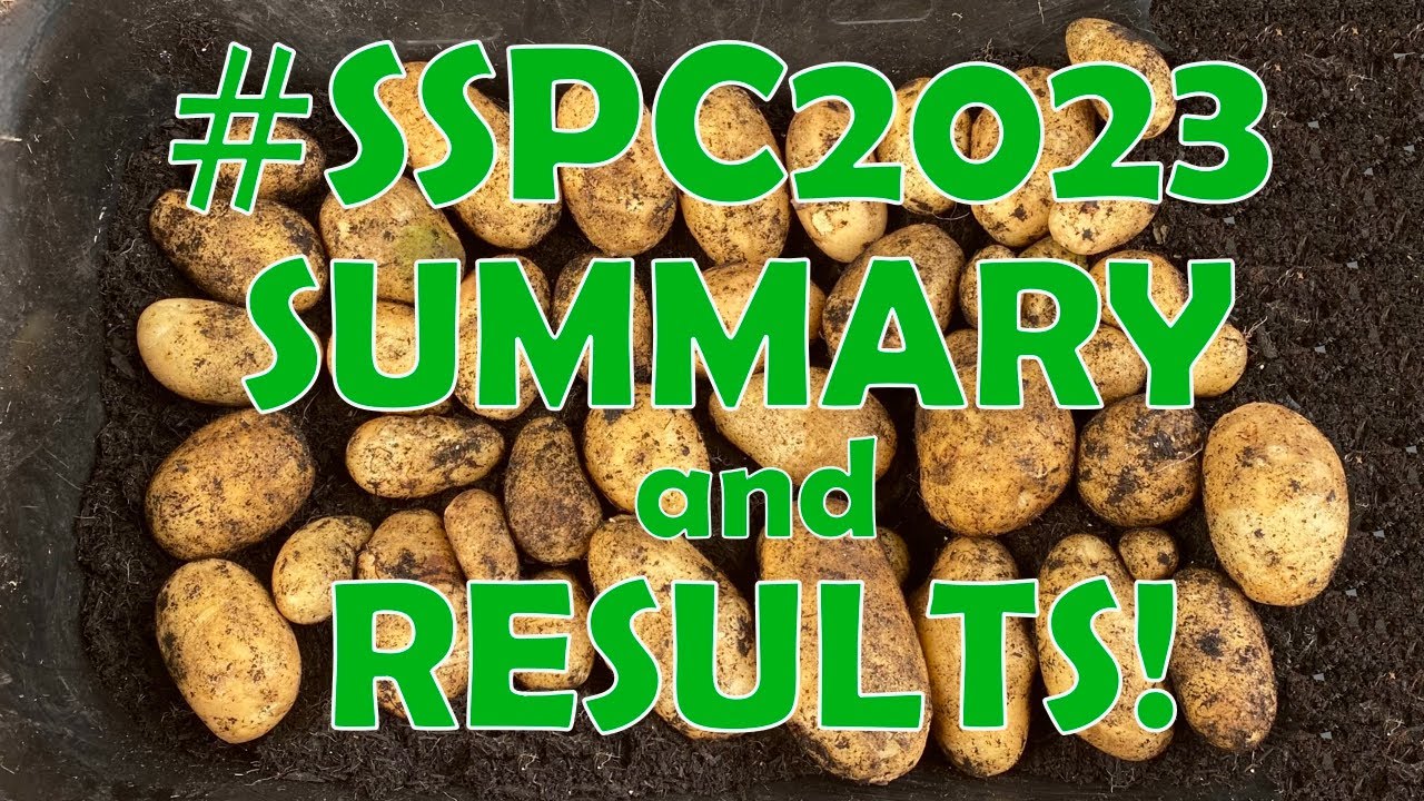 Single Seed Potato Challenge 2023 SUMMARY and RESULTS