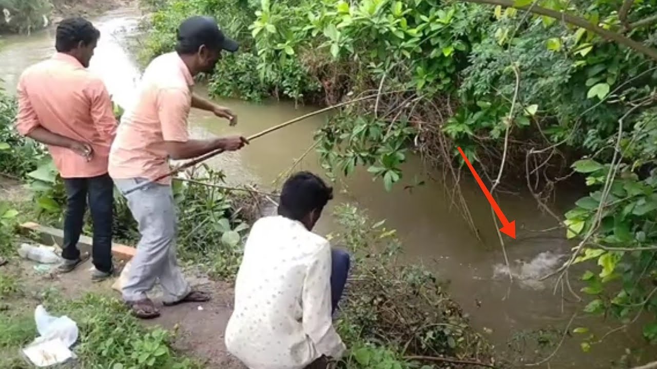 lncredible fishing || Rohu Fishes To || catch with || Tribal Hook by Unique fishing