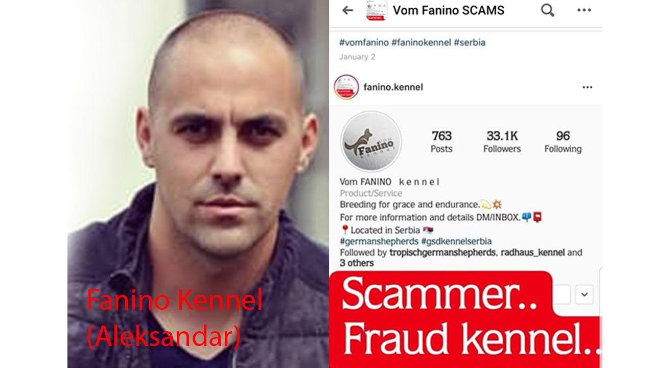 Be aware from fanino kennel (serbia)