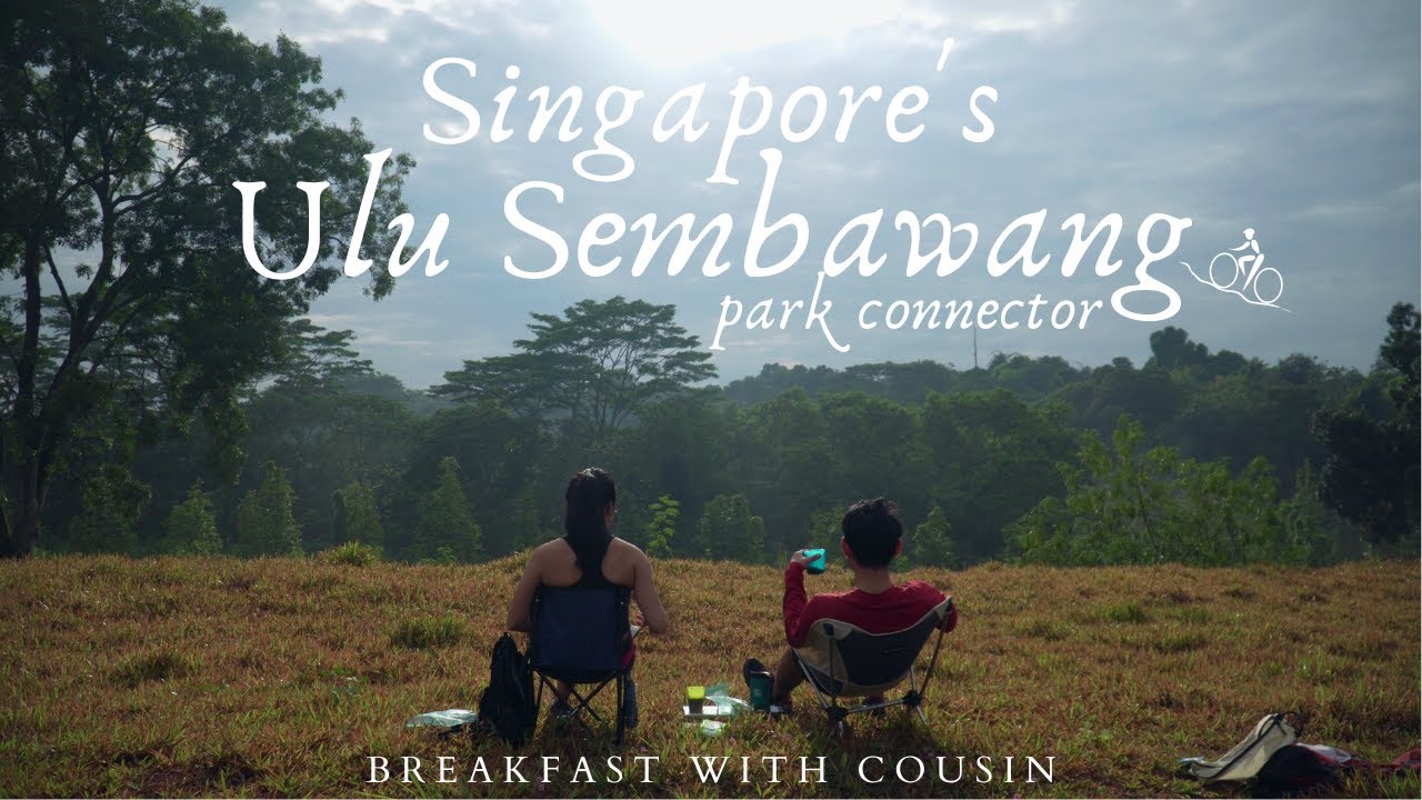 [4K] Singapore's Ulu Sembawang park connector ☀️🌲// Conversations and breakfast🍳 with Cousin