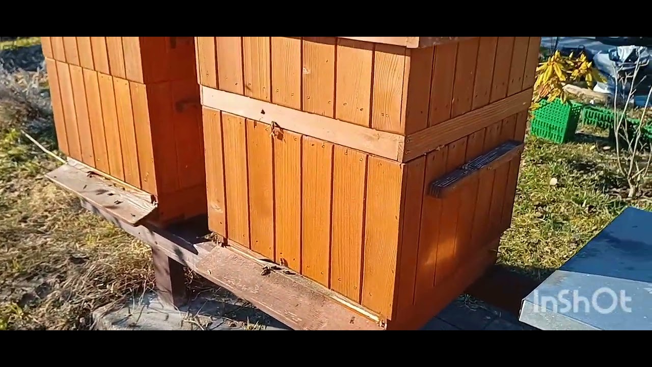 # 382 , Cześć tu Jarosław 😉,, Sezon,,,,Soboty na działce,,, rozpoczęty 🙋,.