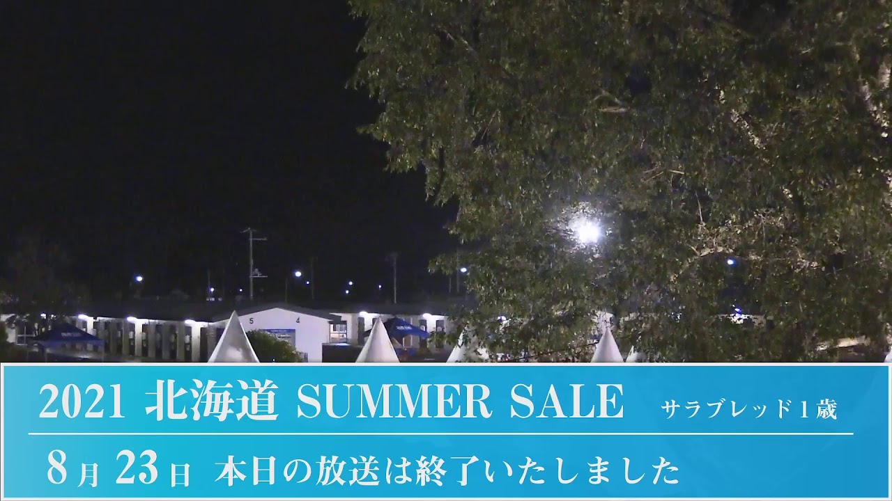 2021 北海道サマーセール1日目生中継